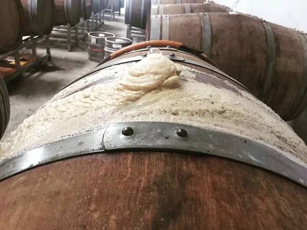 桶啤如何開(啤酒桶怎么開)