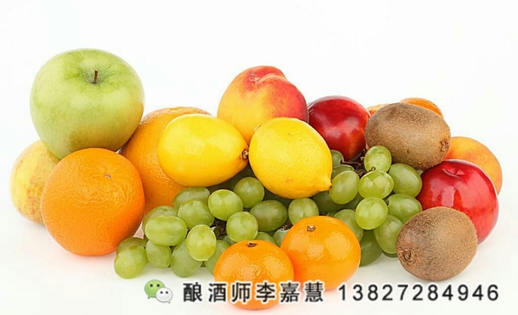 水果白酒價(jià)格查詢(水果 白酒)