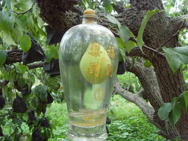 永不分梨2個(gè)梨的多少錢(永不分梨多少錢一箱)